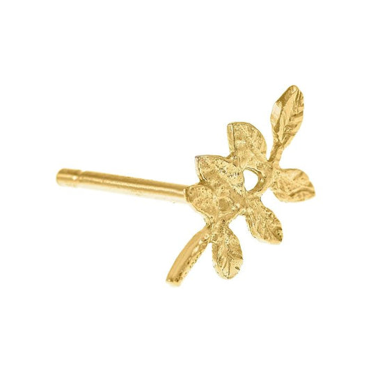 Verity Leaf Stud Earrings