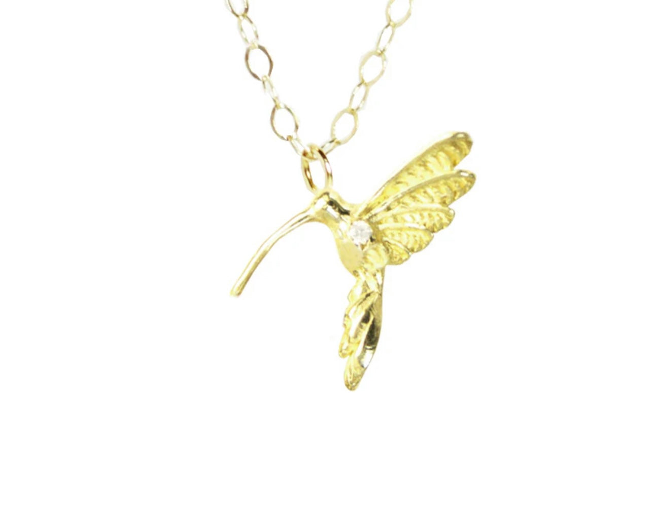 Hummingbird Hope