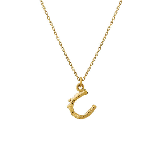 Teeny Tiny Horseshoe Necklace